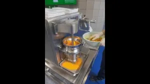 Vertical Pelletizing Extruder (Basket Extruder)