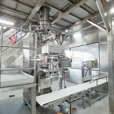 Gravimetric Filling Machine (with Horizontal Auger Filler)